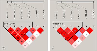 Associations of TFEB Gene Polymorphisms With Cognitive Function in Rural Chinese Population